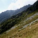Vor Alpe Albagno wird ein alter Kuhweg zum Wanderweg