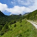 Alpstrasse bei Pescia Bassa