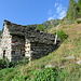 Oriaccia