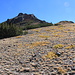 Looking back up to Highland Peak after getting to the saddle between Highland and Silver Peak