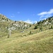 Alpe Pescedo : vista sulla Bocchetta di Chiaro