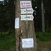 Anderntags, Start am Wanderweg in Borovec - der Musala als Gipfelziel ist markiert