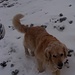 Luca mit der Schneenase ;-)