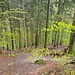 Heute geht es zunächst erstmal runter
