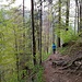 über einen schönen Trail geht es hinunter