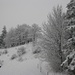 Winter im Jura