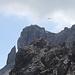 <b>L’Hoher Burgstall (2611 m) anche oggi è molto frequentato sia da escursionisti sia da un pilota di parapendio, che grazie alle termiche ha raggiunto la cima con la sua vela…</b> 