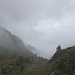 100 sfumature di grigio... 