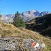 Sul sentiero per l'Alpe Corbernas.