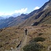 La mia guida fa strada.