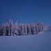 winterlandschaft