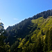 Hälikopf - rechts am Rand gings die Wiese zum Wanderweg runter