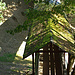Brücke im Bergtierpark