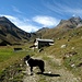 Bei der Alp Es-cha Dadains geht der markierte Wanderweg hoch zur Fuorcla Gualdauna
