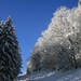 es folgen wunderschöne Winterlandschaften ab dem vielbesuchten Ausflugsziel ...