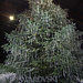 foto fatta il 13-12-09 stazione di zurigo<br /><br />BUON NATALE A TUTTI !<br /><br />Merry Christmas to all.<br /><br />Frohe Weihnachten an alle.<br /><br />Joyeux Noël à tous.