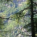 Im Val di Lodrino
[https://www.youtube.com/watch?v=z9DwQmqVMSU]