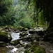 La Tine de Conflens.