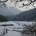 Blick über den Schwansee zum Säuling