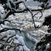 Blick hinab auf die schöne Stadt Füssen am Lech