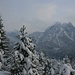 Blick vom Kienberg zum Säuling