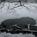 unterwegs am Südufer des Schwansees