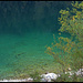 klarer kleiner Plansee