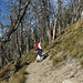 Im Aufstieg zum Avalanche Peak - verkohlte Baumstämme sind stumme Zeugen des Waldbrandes von 1988.