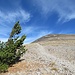 Fast eine Mondlandschaft: im Anstieg zum Avalanche Peak.