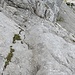 Im Abstieg über die Steinbergplatte; gleich ist der Talgrund erreicht.