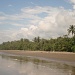 Palmenstrand an der Bahia de Coronado