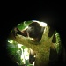 Ein etwas unscharfer Brüllaffee durch das Fernrohr fotografiert. Sieht aus wie ein Gorilla, der könnte sich aber kaum so in den Bäumen halten