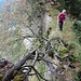 attraktiver Verlauf der Wegspur entlang der Gratkante 2