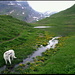 <b>Rhapsody in Green</b> von <b>Alban Berg</b> (hinten links) bei Sulzibiel (mit einem <b>Streicher</b> und dem grossen <b>Bachbummele-Chor</b>).