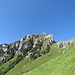Von den Alphütten kann man die Route zum Dejenstock gut sehen. Die verschiedenen Bachrunsen und das Erlengestrüpp befinden sich hinter der Wiese im Vordergrund und sind auf dem Bild nicht sichtbar. Man peilt zuerst die Senke im rechten Bilddrittel an, dort befindet sich Punkt 1818.