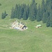 Willersalpe
