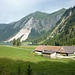 Vilsalpe