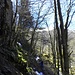 Im Abstieg zwischen Col du Schaeferthal und Frankenthal
