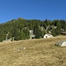 Agro Fuori