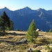 Agro Fuori