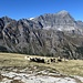 Panorama dalla cima