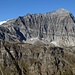 Magnifico Leone