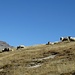Un saluto alle amiche di giornata