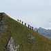 Die Hikr-Truppe auf dem Weg zum Haupt.