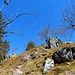 Hinauf zum Col du Schaeferthal
