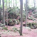 Am Hollederberg, hier ist der Wald ein bisschen lichter und höher, die Aussicht auf die Felsen damit besser