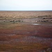 Auf dem Qinghai-Plateau.