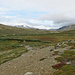 Erster Einblick in das Dovrefjell. 