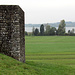 Die Römische Ruine bei Irgenhausen, mit Sicht auf den Pfäffikersee.