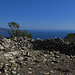 Vecchio recinto di un Caprile in discesa dal Monte Fonza / alte Einzäunung eines Caprile im Abstieg vom Monte Fonza